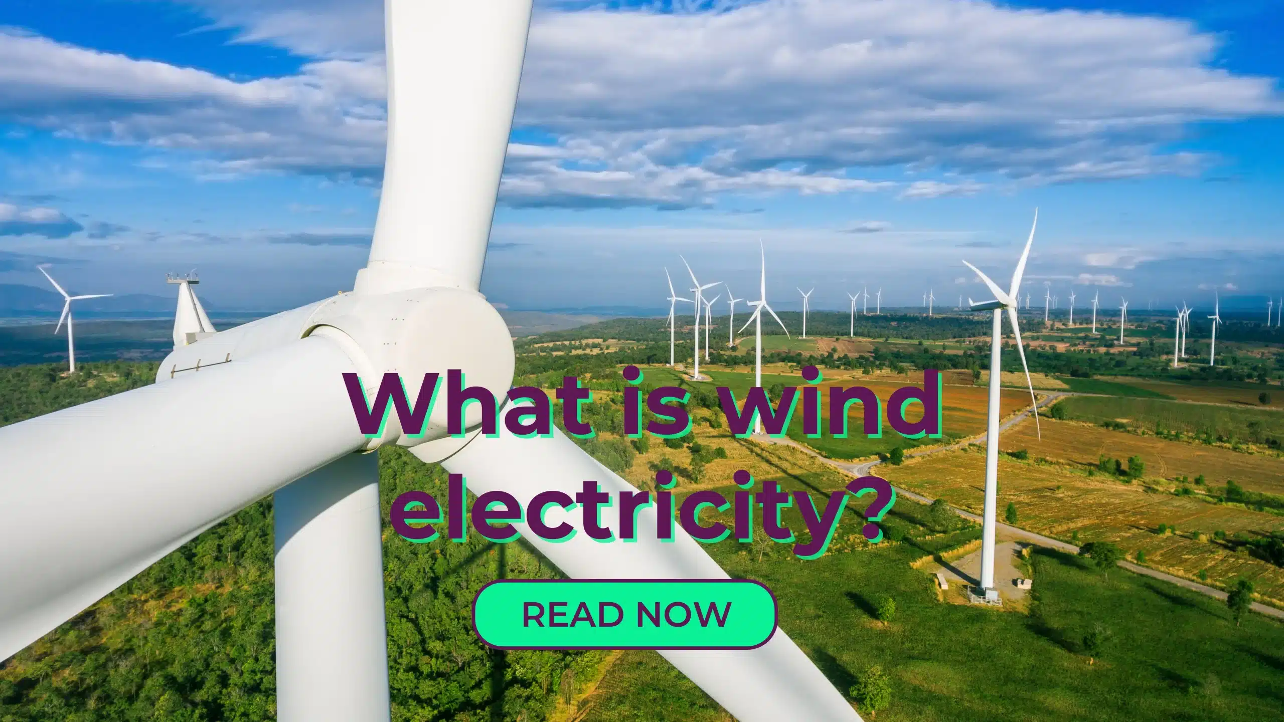 What is Wind Electricity? | Eco4pro Renewable Solutions
